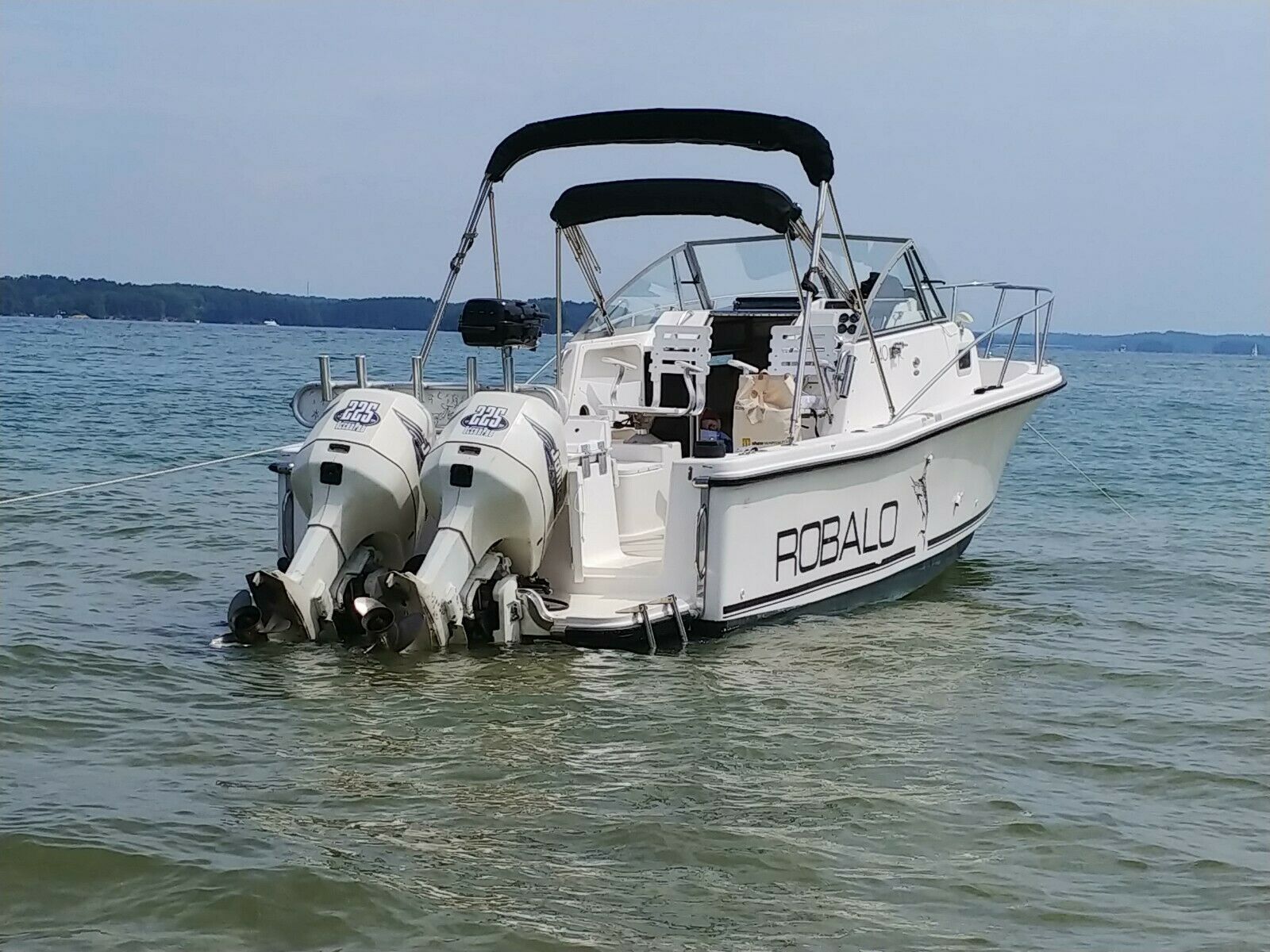 Robalo