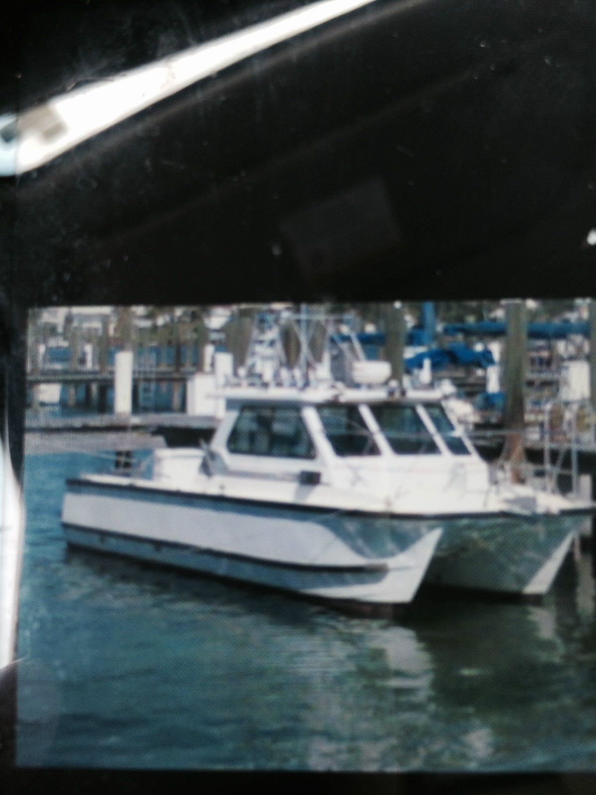 shark catamaran for sale