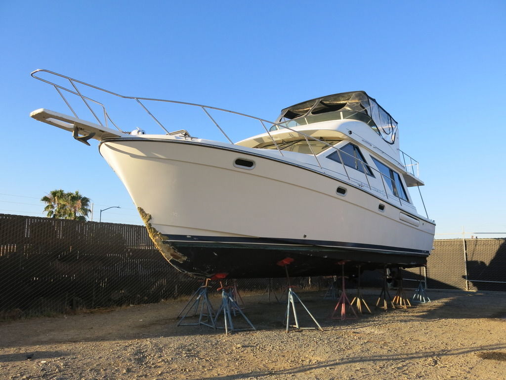 wg3988