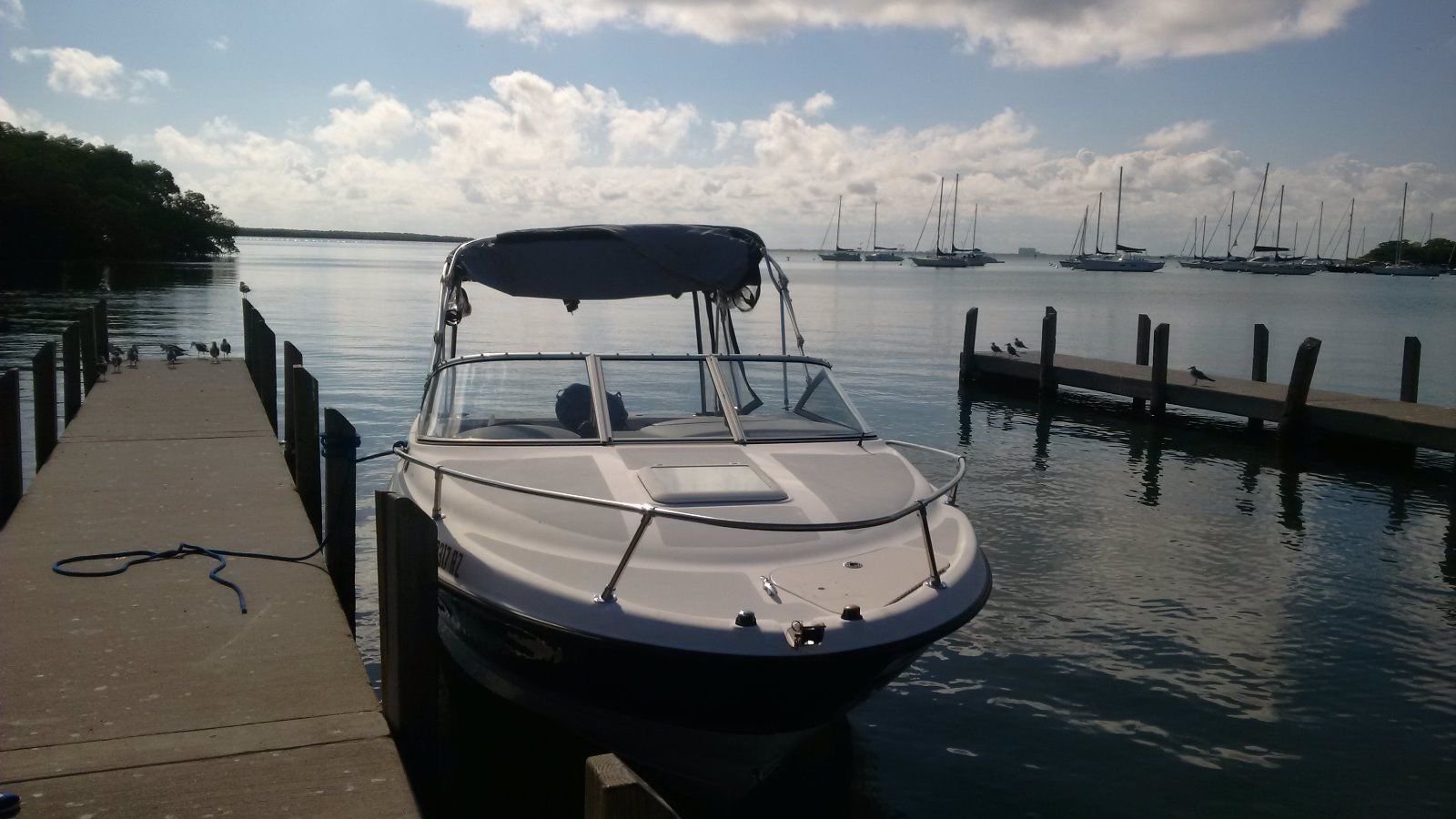 Bayliner Discovery 210