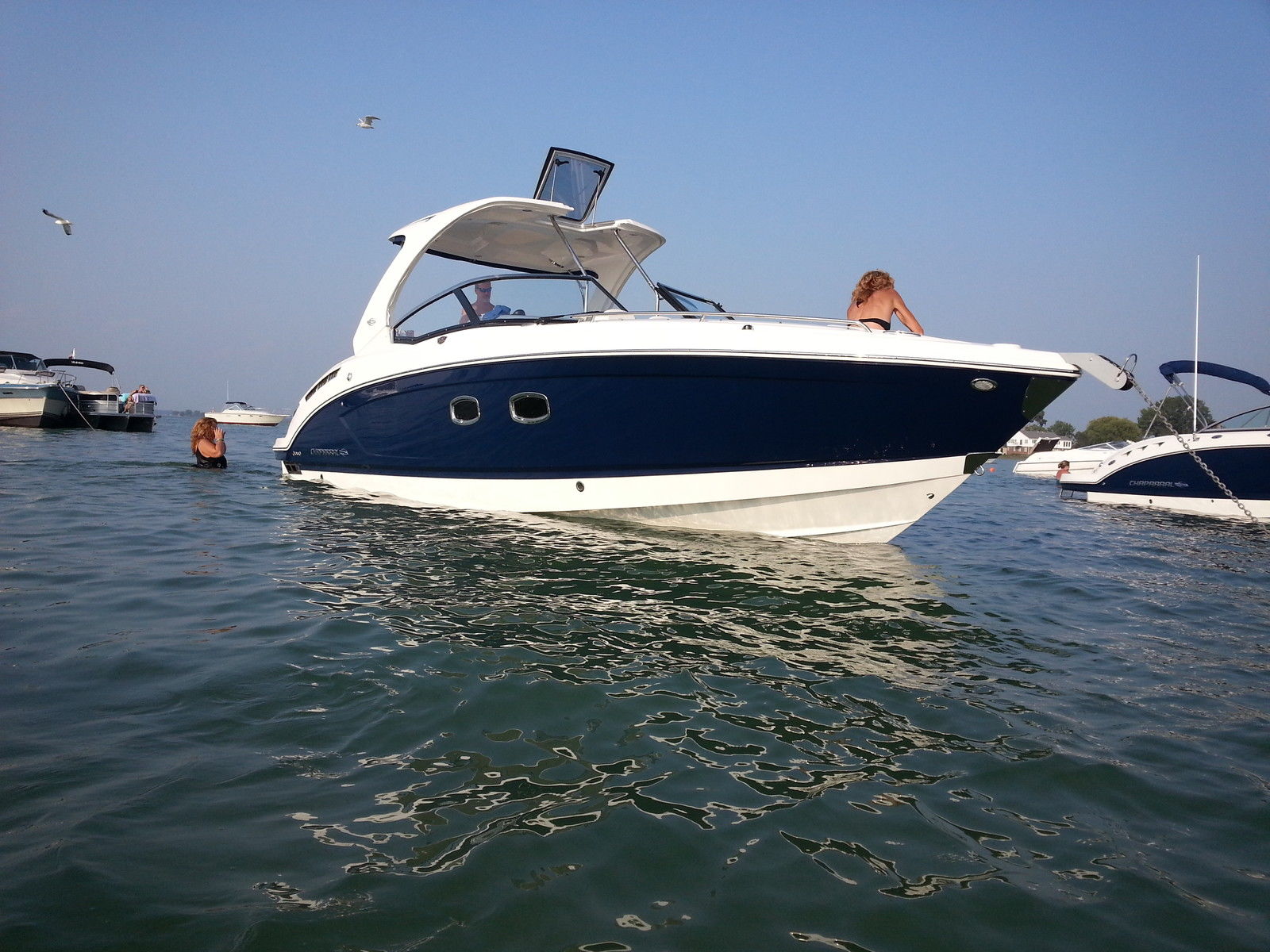 Chaparral 2014 for sale for $166,000 - Boats-from-USA.com