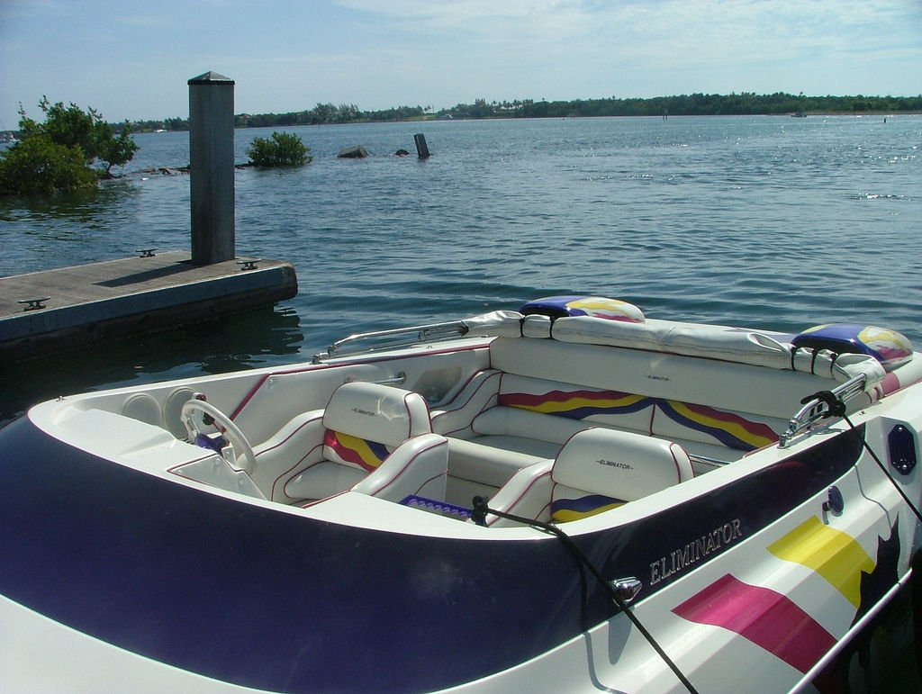 Eliminator Daytona 28 Tall Deck 1999 for sale for $54,999 