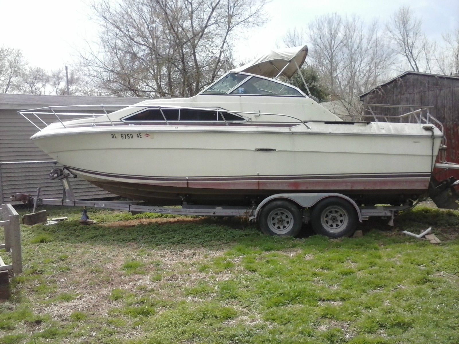 Searay