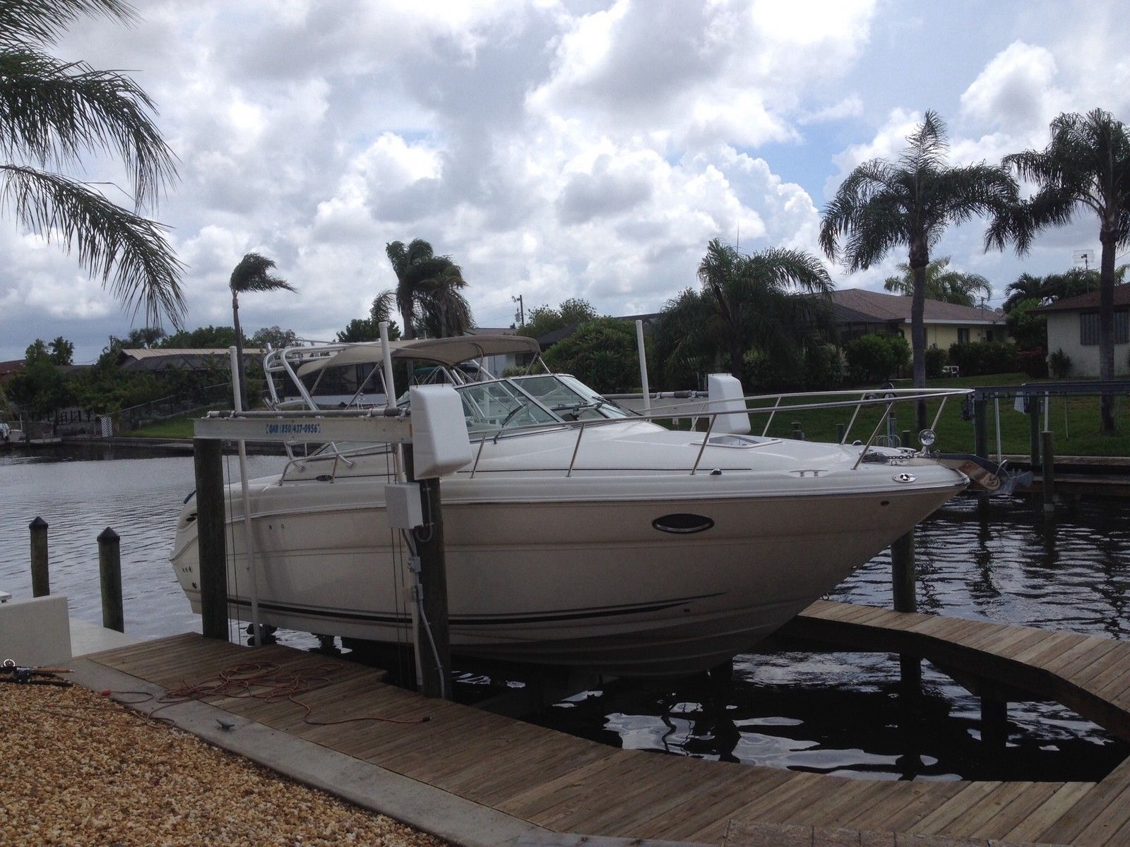 Searay Amberjack