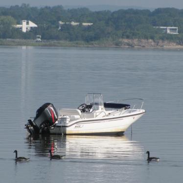 2004 Boston Whaler dauntless 160