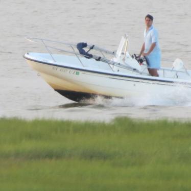 2004 Boston Whaler dauntless 160