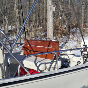 1992 Boston Whaler montauk 17