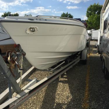 1989 Four Winns liberator 261