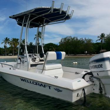 1996 Wellcraft 160