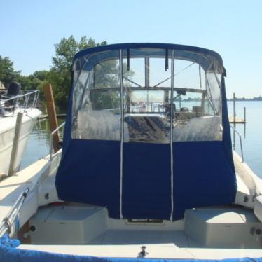 1989 Wellcraft 2800 coastal