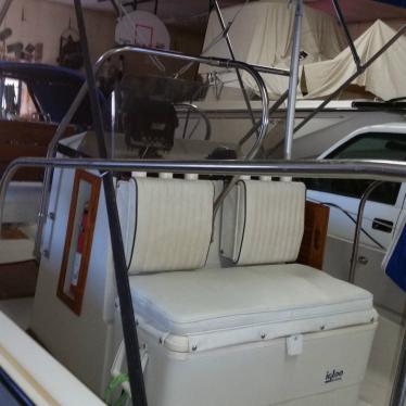 1989 Boston Whaler montauk 17