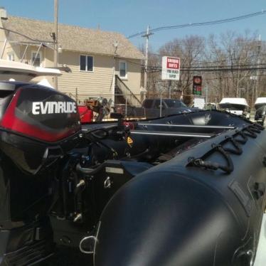 2015 Evinrude 60 hp e-tec