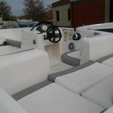 2014 Bayliner element