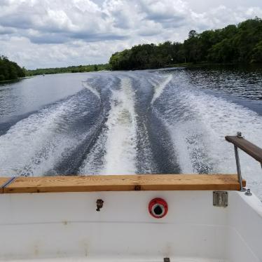 1989 Bayliner bayliner