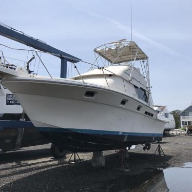 Luhrs 1985