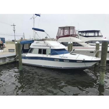 1984 Bayliner contessa