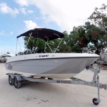 2017 Bayliner element e21