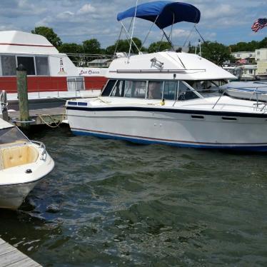 1985 Bayliner contessa