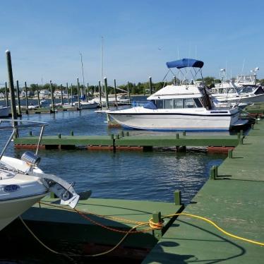 1985 Bayliner contessa