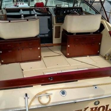 1980 Sea Ray 310 express cruiser