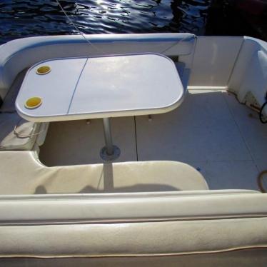 1996 Sea Ray 300 sundancer