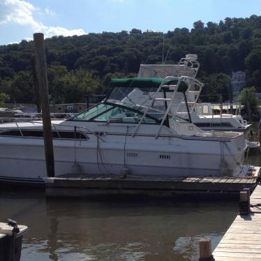 1984 Sea Ray sundancer