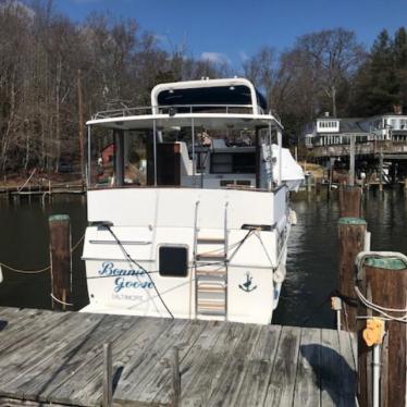 1987 Bayliner nova senator