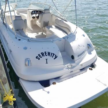 2003 Starcraft stardeck 254 travis edition