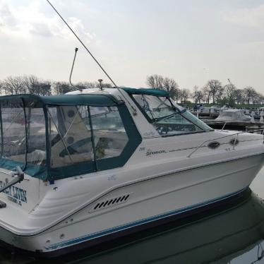 1995 Sea Ray sundancer 300