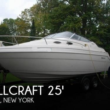 1999 Wellcraft 2400 martinique