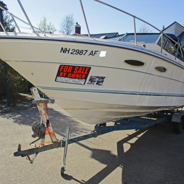 1987 Sea Ray sundancer