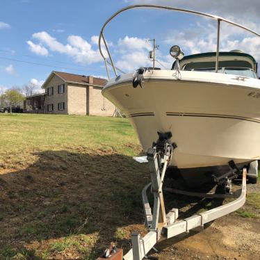 1998 Sea Ray sundancer 290