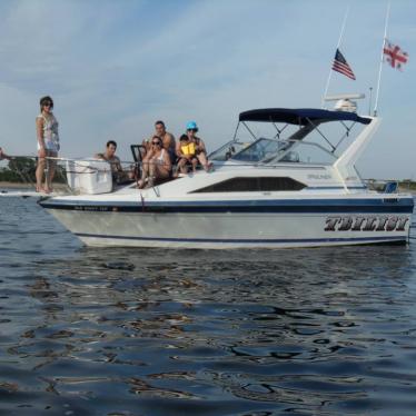 1987 Bayliner sunbridge