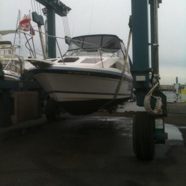 1987 Bayliner sunbridge