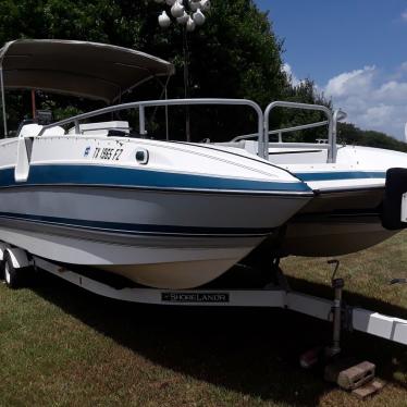 1991 Bayliner 150