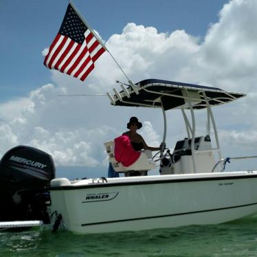 2015 Boston Whaler