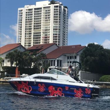 1984 Sea Ray sundancer