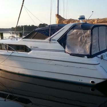 1990 Wellcraft triumph americus