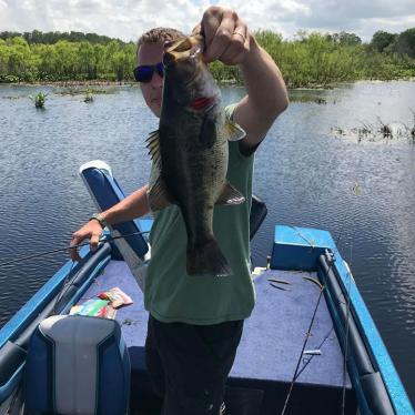 1988 Bayliner trophy bass