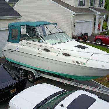 1995 Sea Ray sundancer