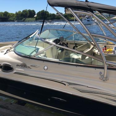 2006 Sea Ray sun deck