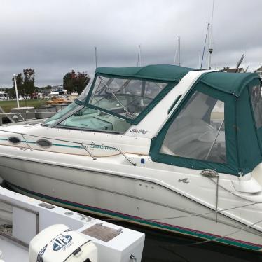 1995 Sea Ray sundancer