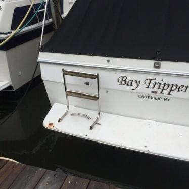 1993 Bayliner 3288 my