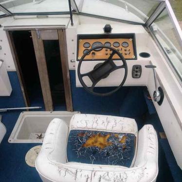 1979 Wellcraft sunhatch 196