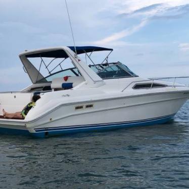 1990 Sea Ray sundancer 310