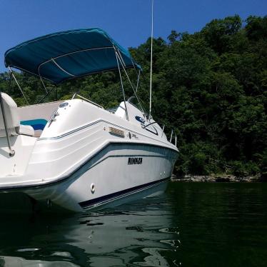 1994 Rinker fiesta vee 265