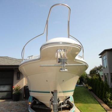 1995 Sea Ray 270 sundancer