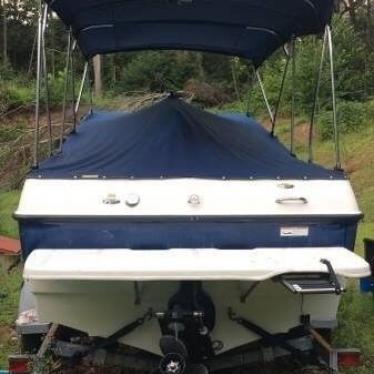 2008 Bayliner 19