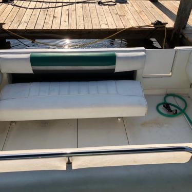 1990 Sea Ray 250dl