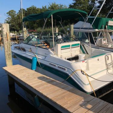 1990 Sea Ray 250dl